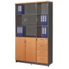 Tủ tài liệu gỗ Hòa Phát NT1960-3G4D